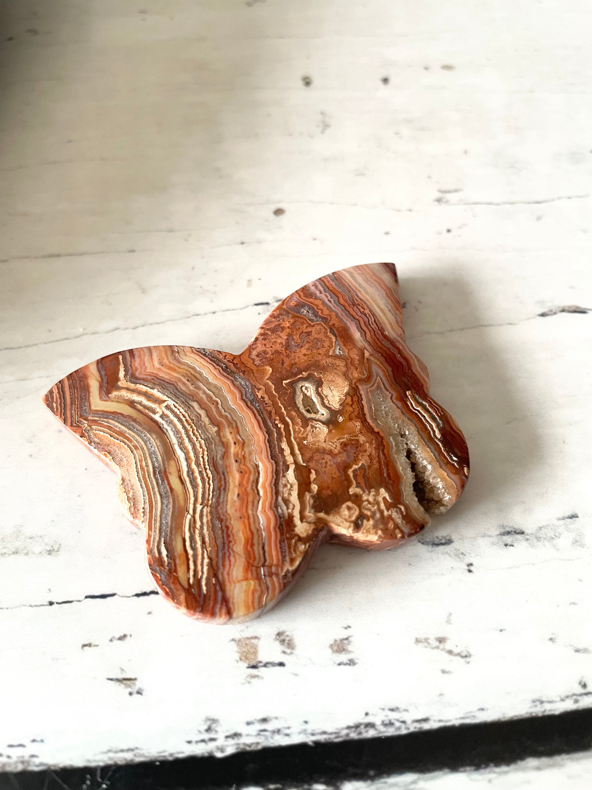 Mexican Pink Crazy Lace Agate Butterfly