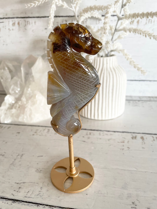 Seahorse ~ Agate