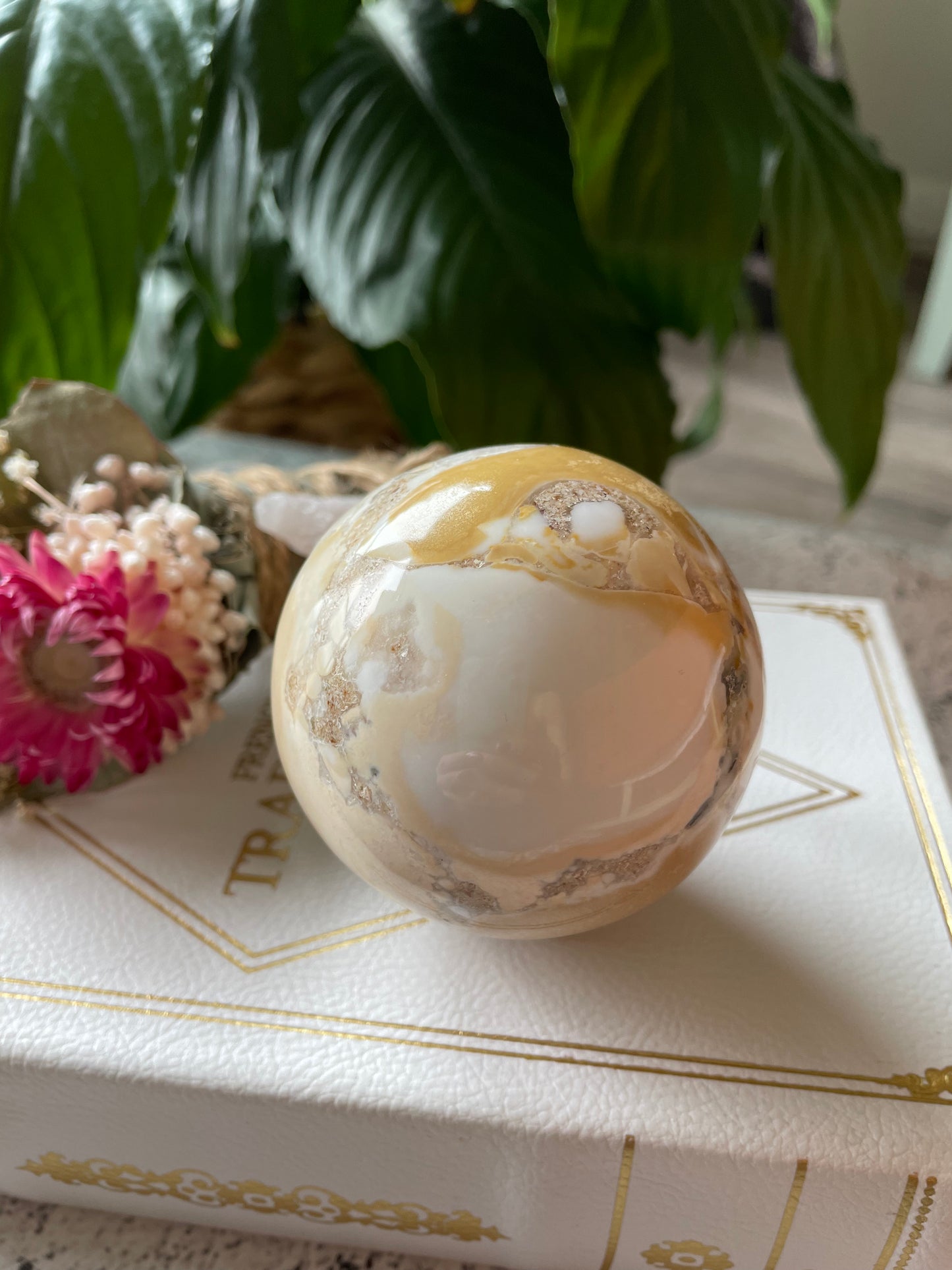 Spotted Agate Sphere Includes Wooden Holder