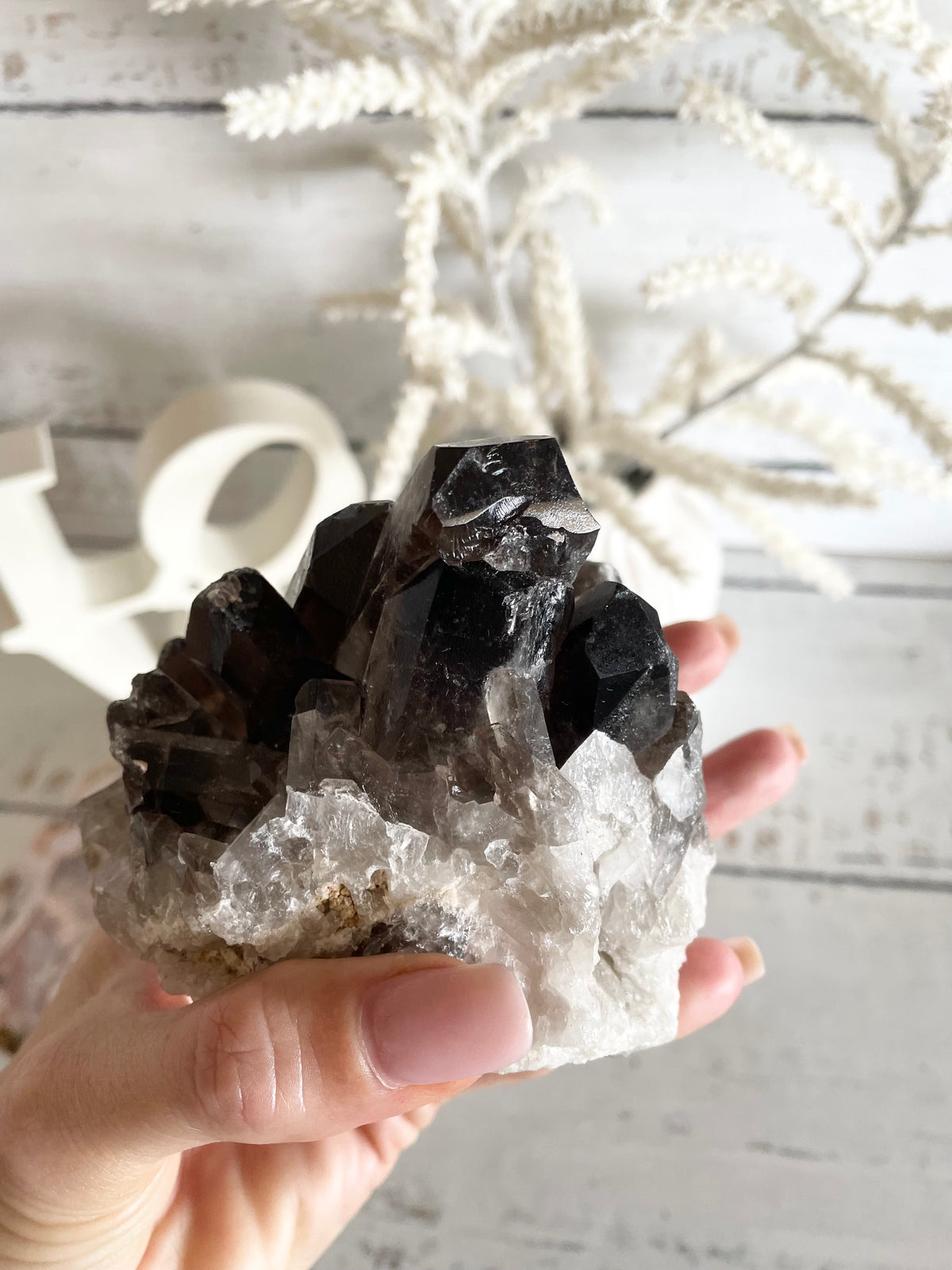 Smoky Quartz Cluster