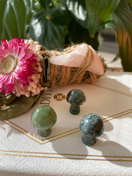 Intuitively chosen ~ Moss Agate Mushroom