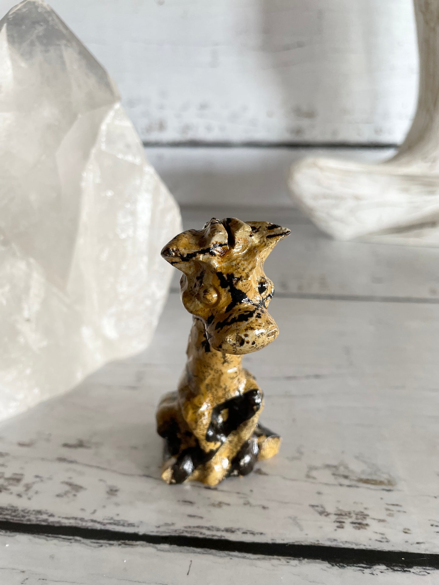 Picture Jasper Giraffe ~ 14