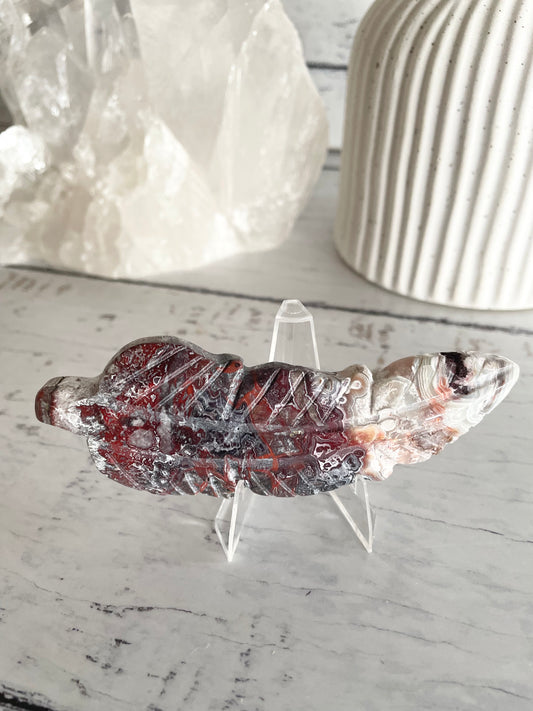 Mexican Crazy Lace Agate feather