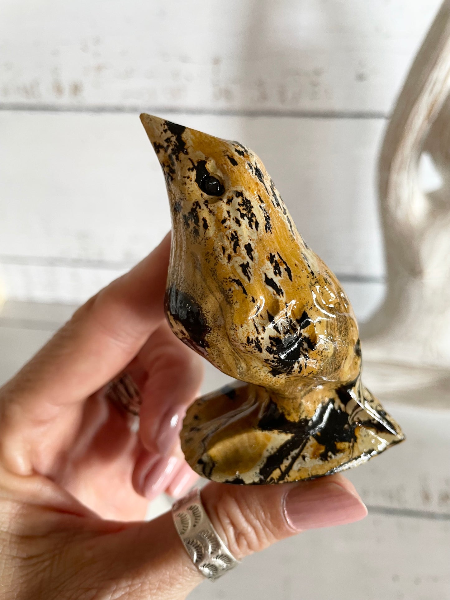 Picture Jasper Robin ~ 12