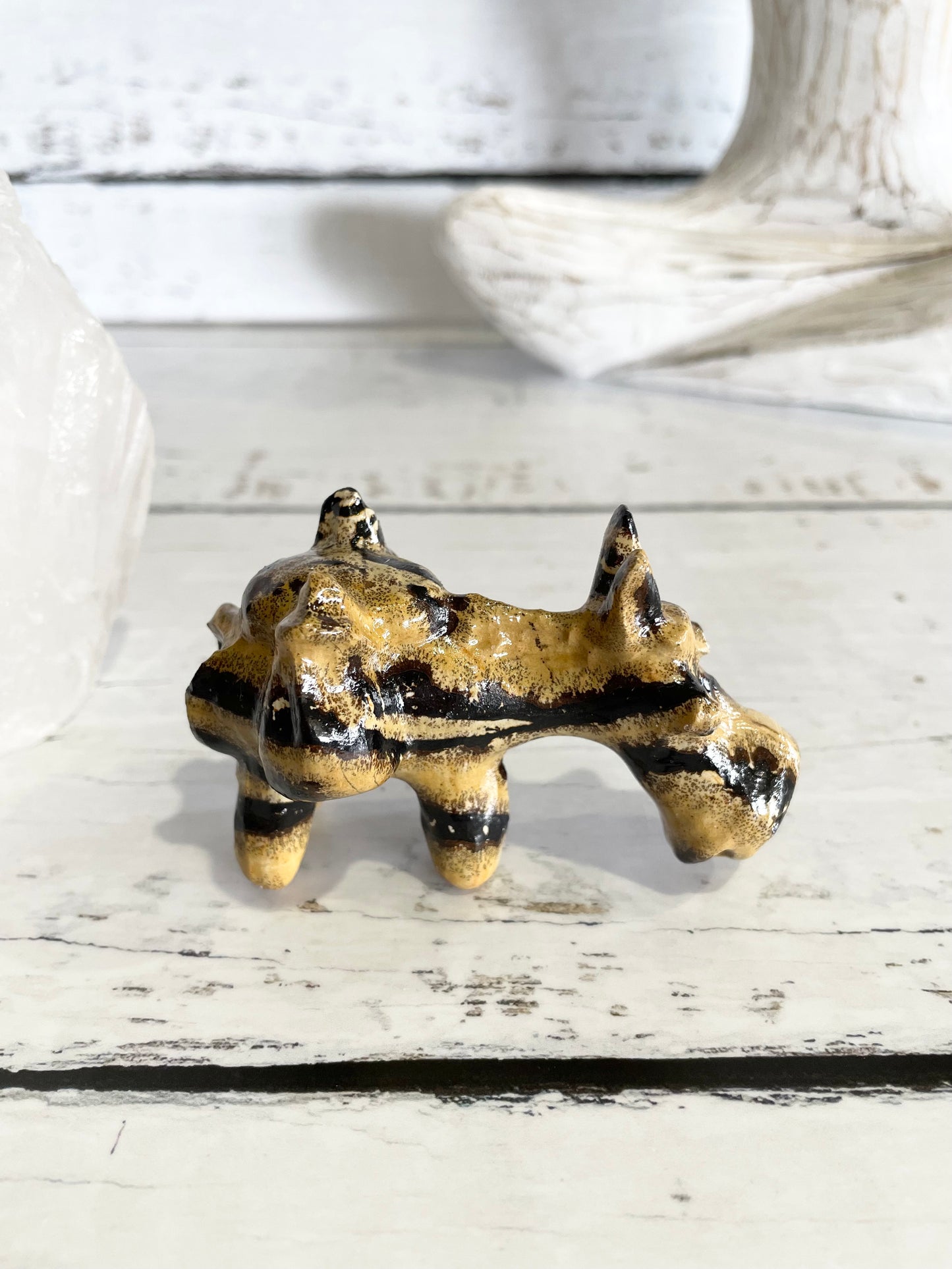 Picture Jasper Donkey ~ 1