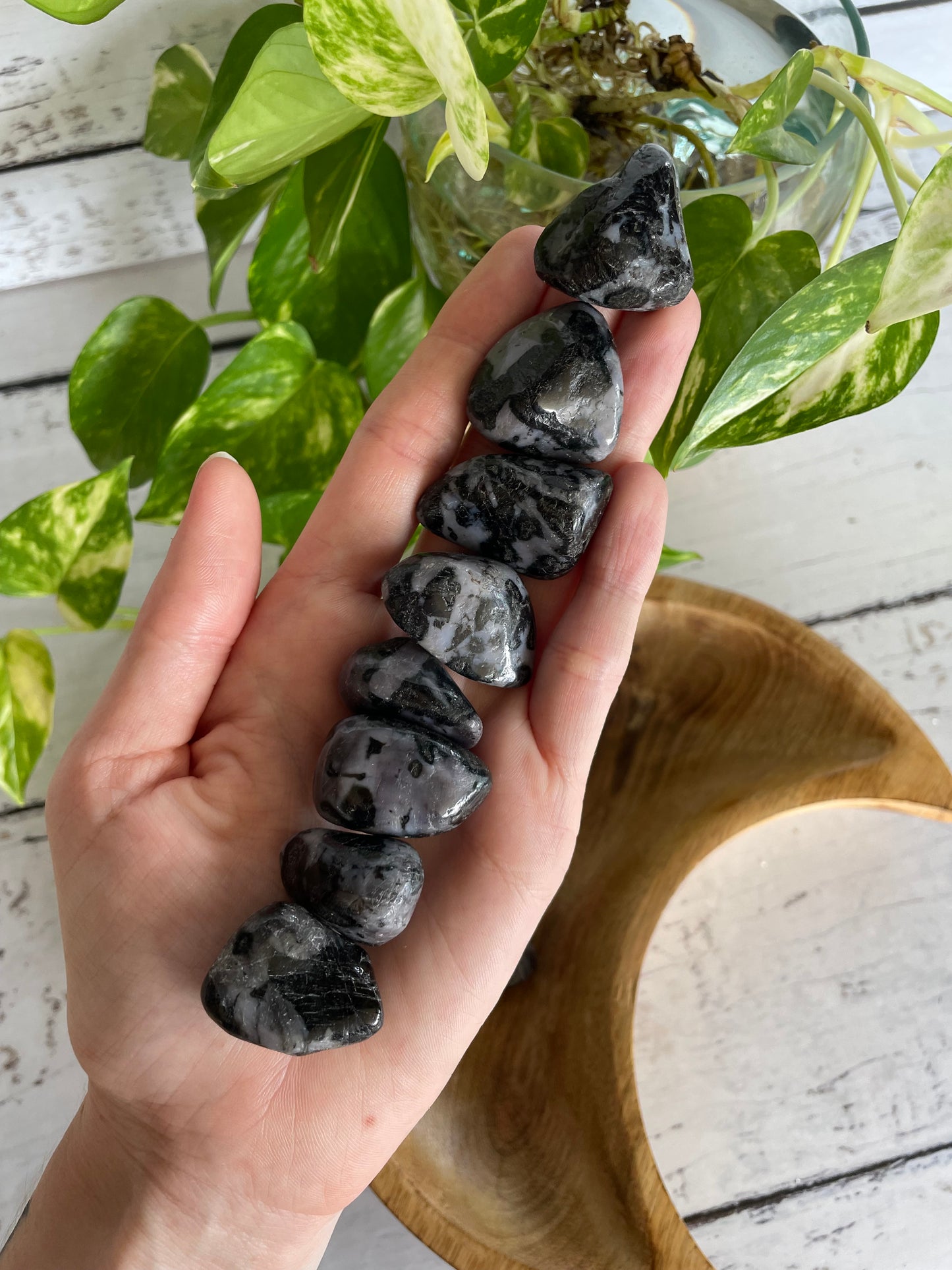 Indigo Gabbro Tumble Stones