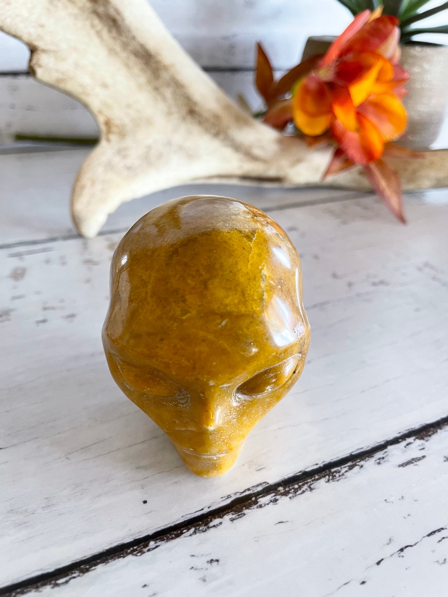 Alien Skull ~ Yellow Jasper