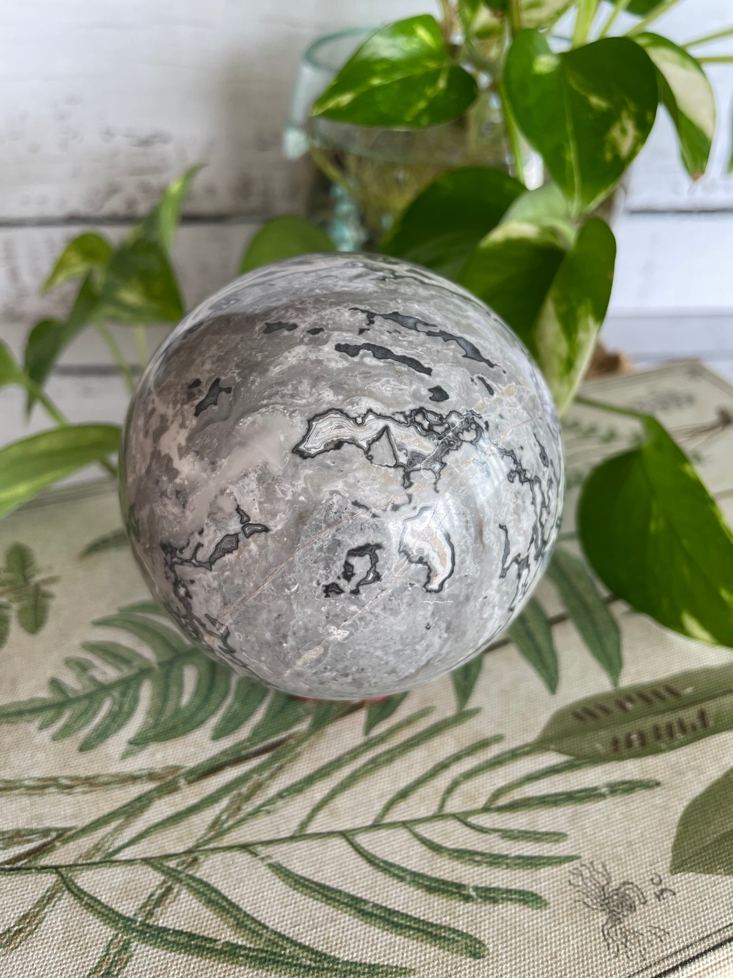 Picasso Jasper Sphere Includes Wooden Holder