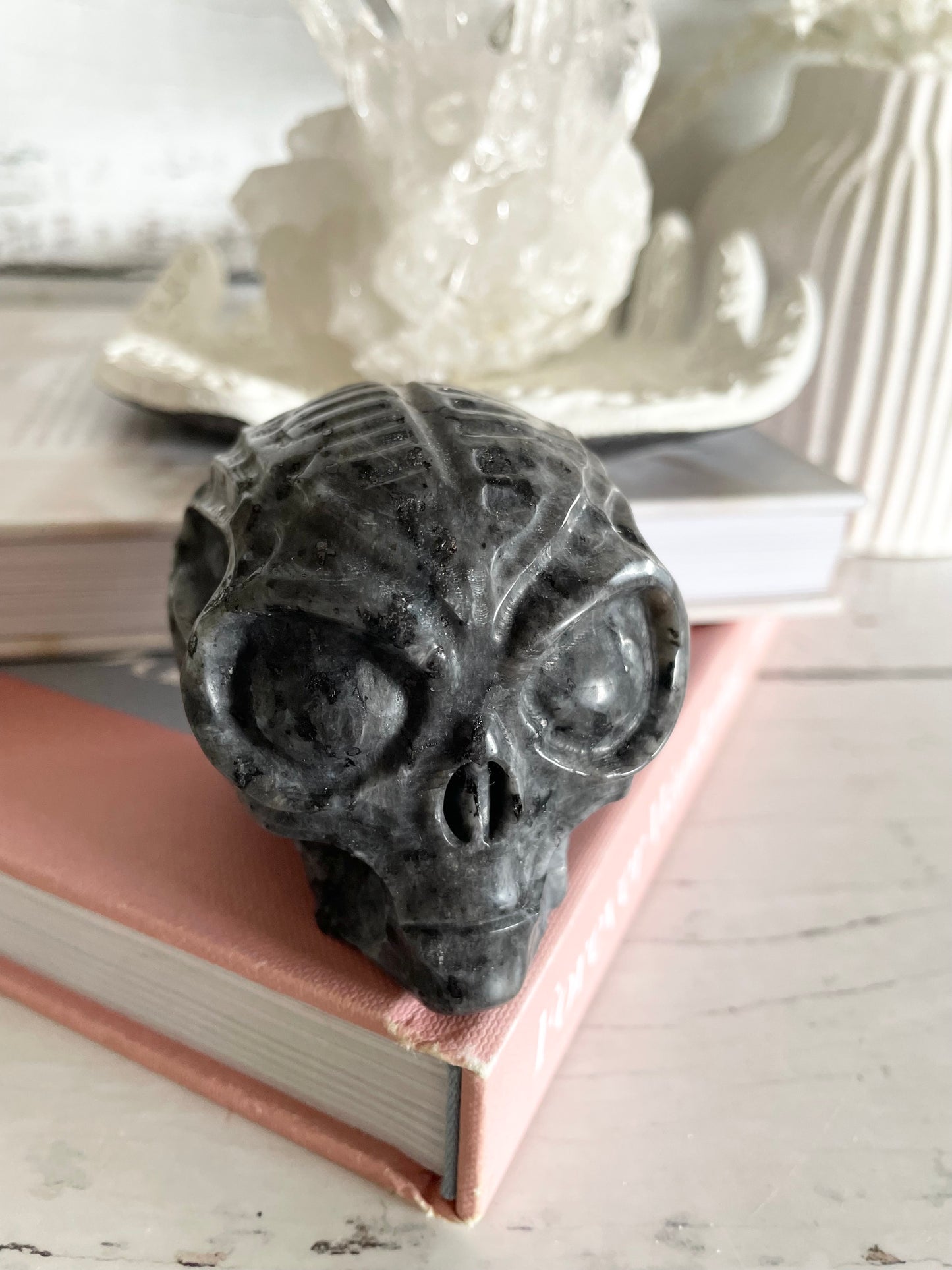 Larvakite Alien Skull