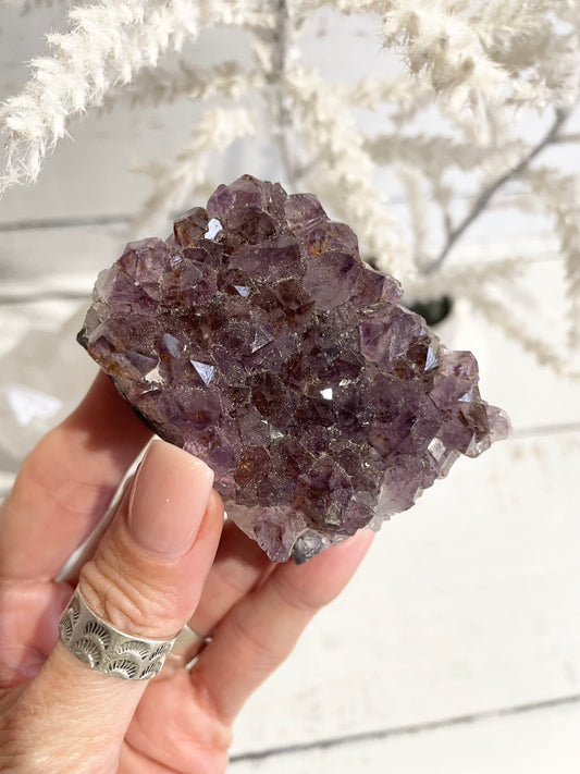 Amethyst Cluster