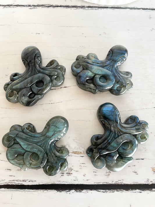 Intuitively Chosen ~ Octopus