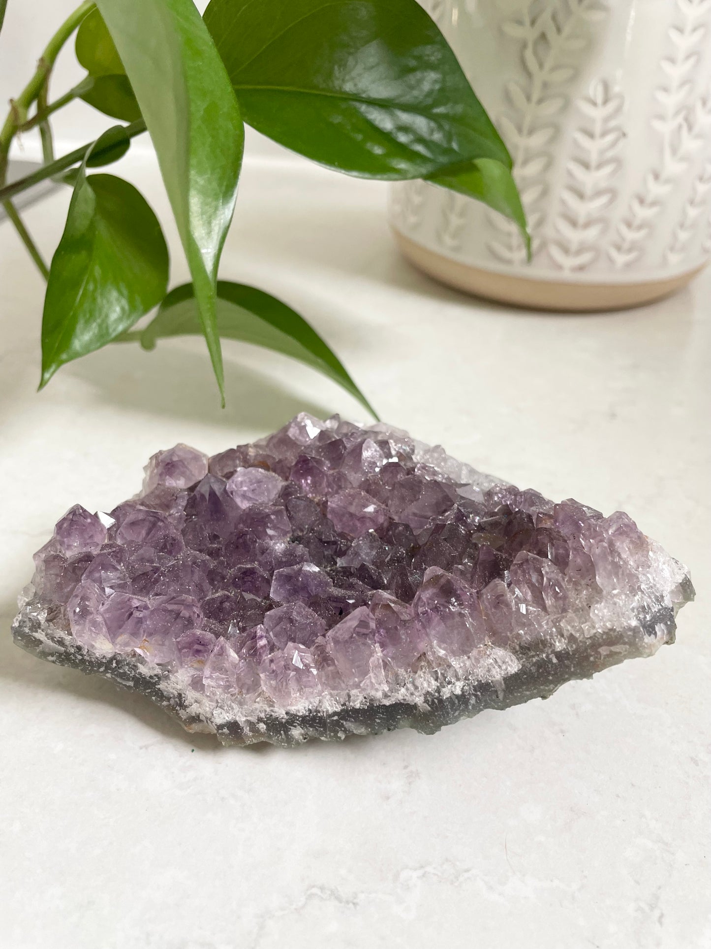 Amethyst Cluster