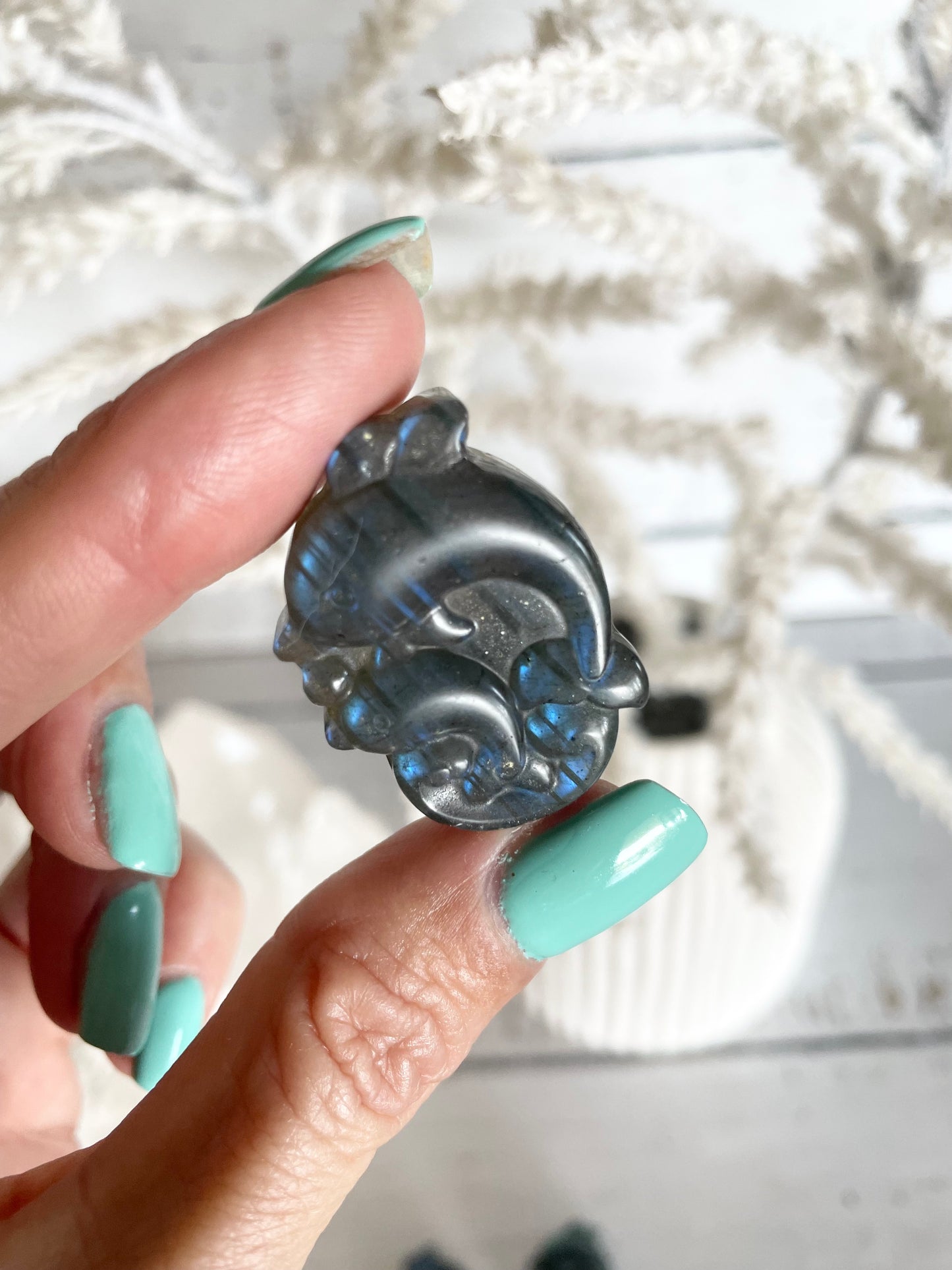 Intuitively Chosen ~ Dolphin