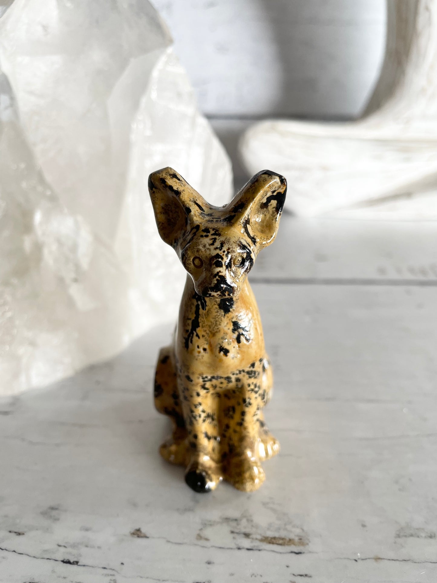Picture Jasper Spinx Cat ~ 2