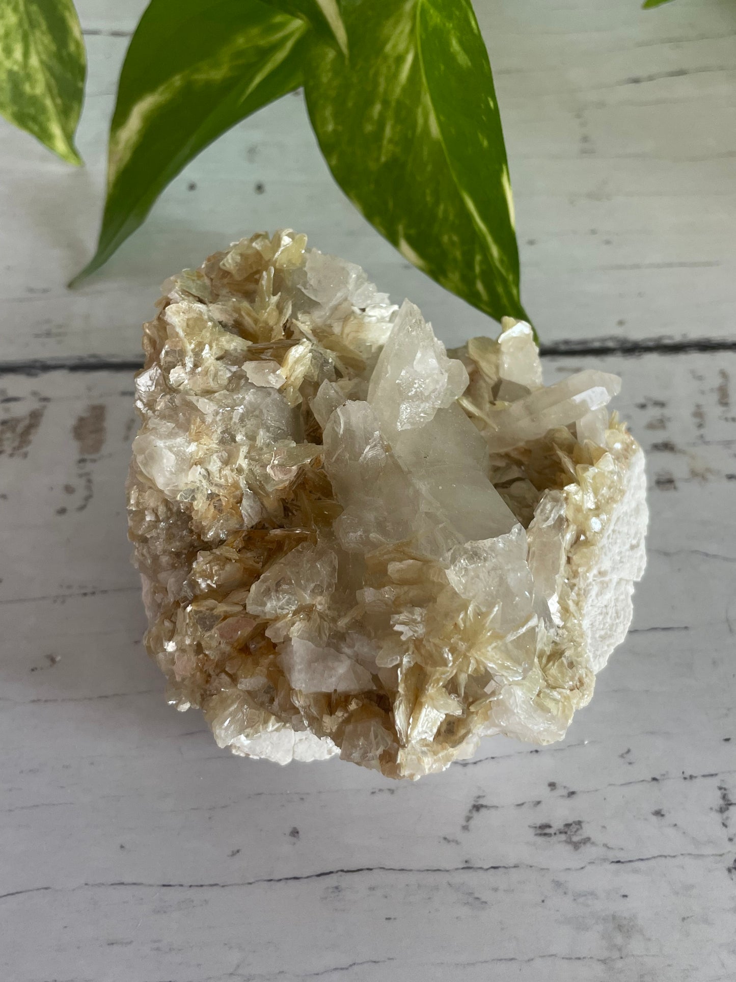 Mica in Quartz Cluster