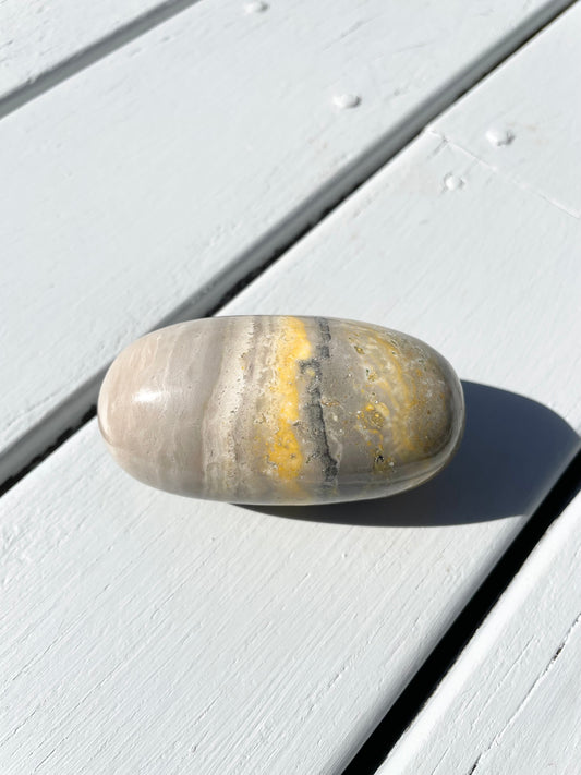 Bumble Bee Jasper Lingam