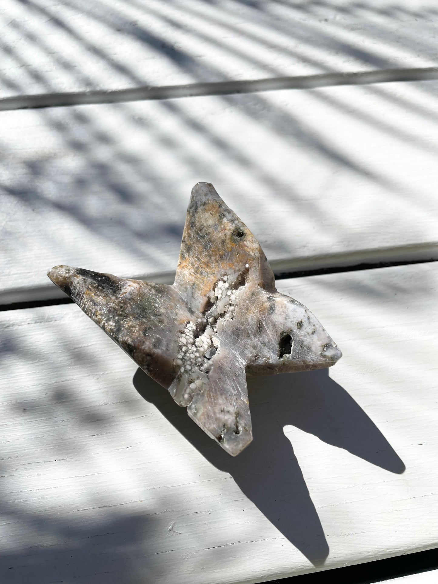 Jasper Butterfly