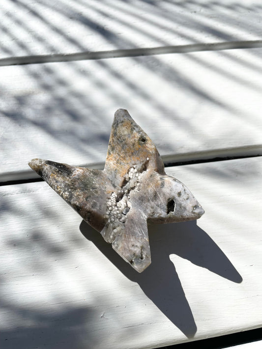 Jasper Butterfly
