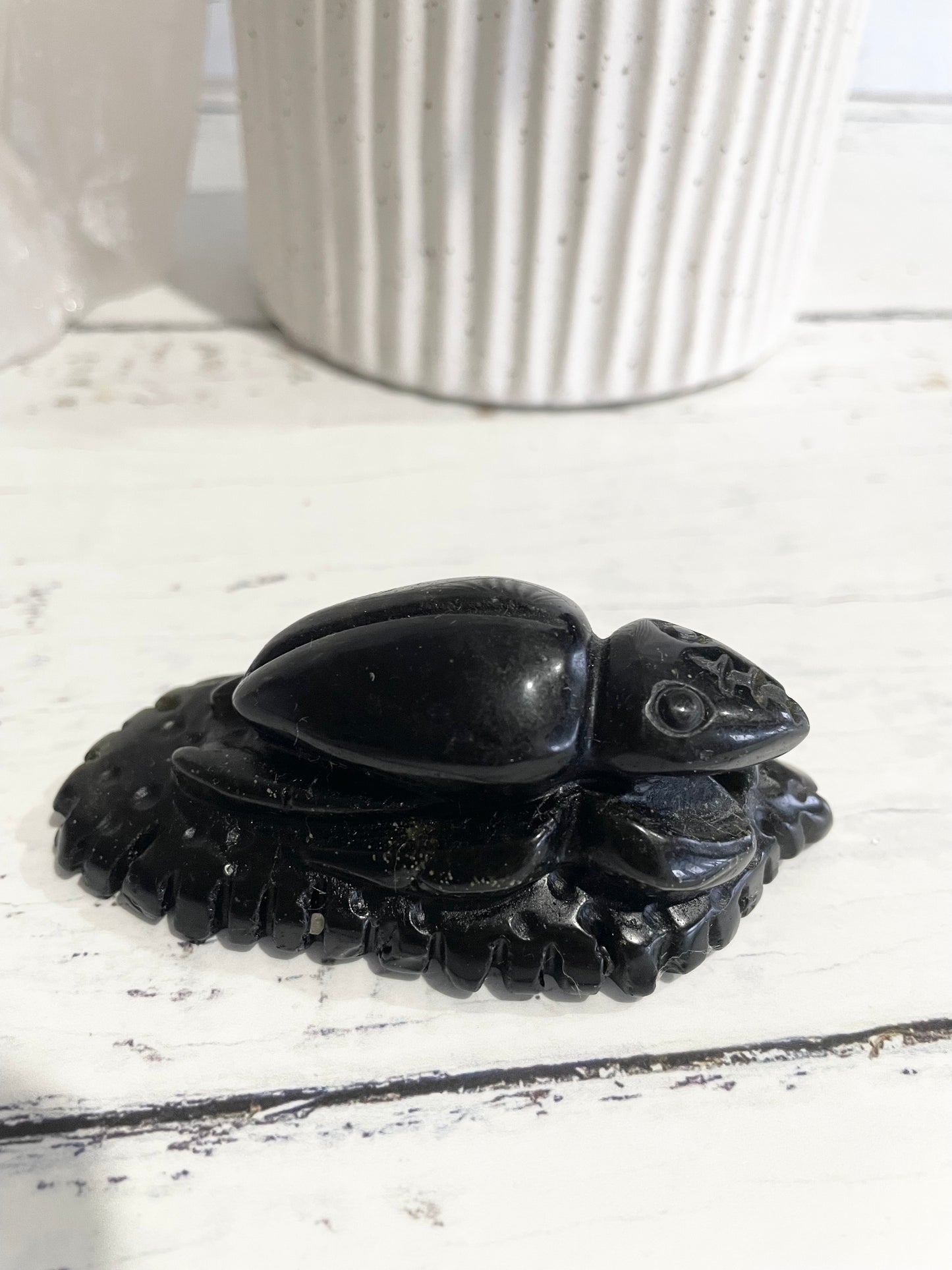 Golden Obsidian Beetle