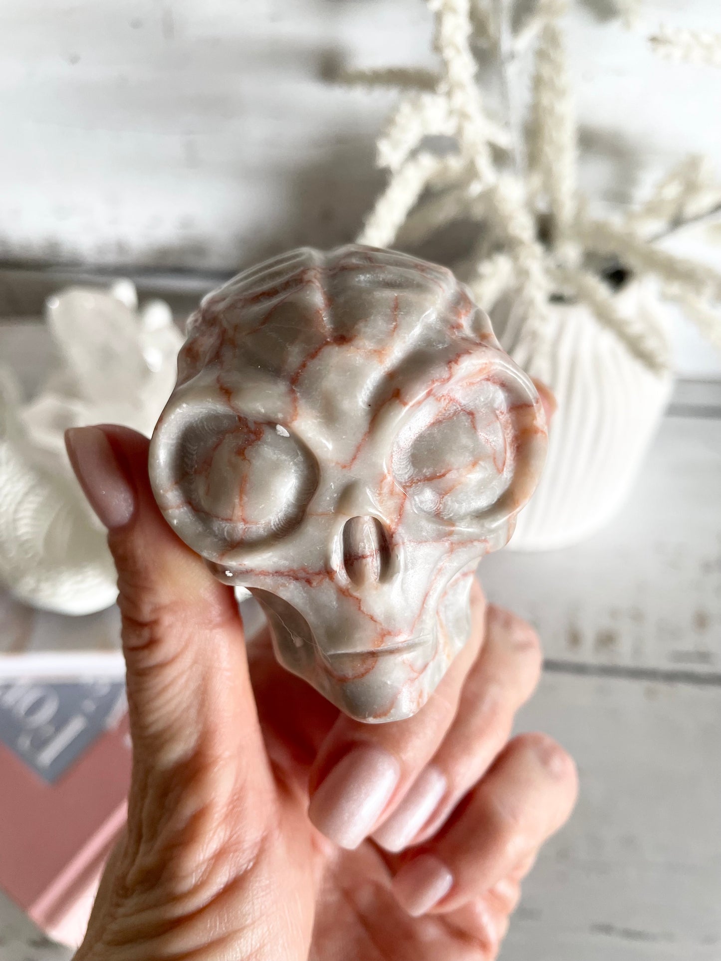 Vein Jasper Alien Skull