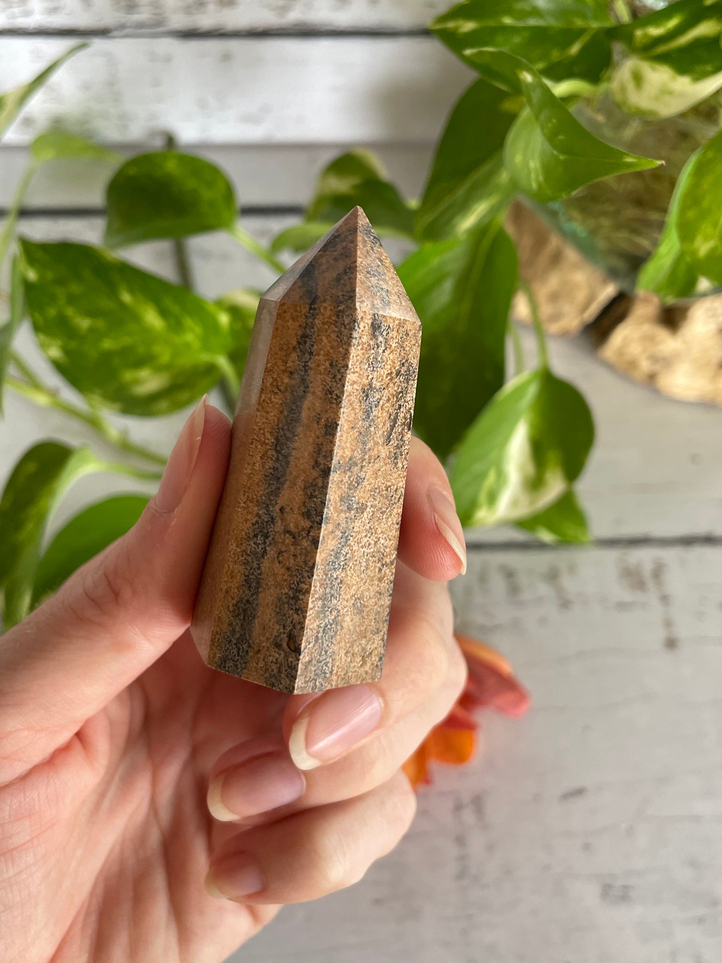 Picture Jasper Generator