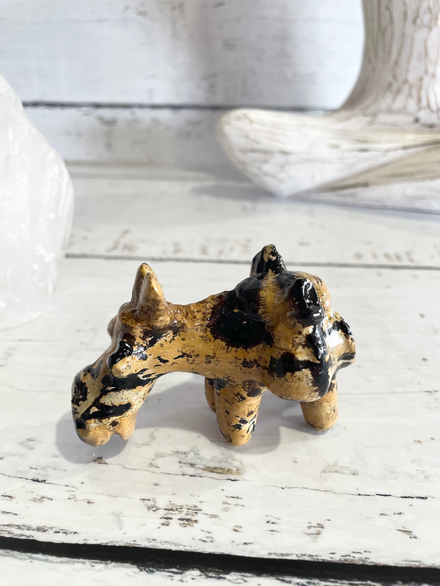 Picture Jasper Donkey ~ 14