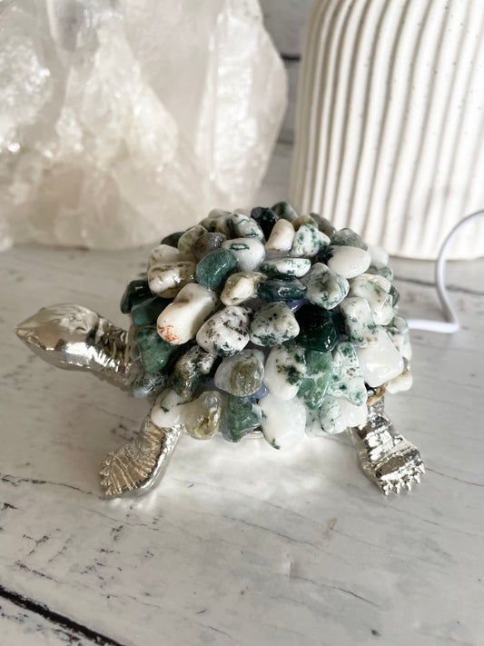 Tortoise Led Lamp ~ Tree Agate