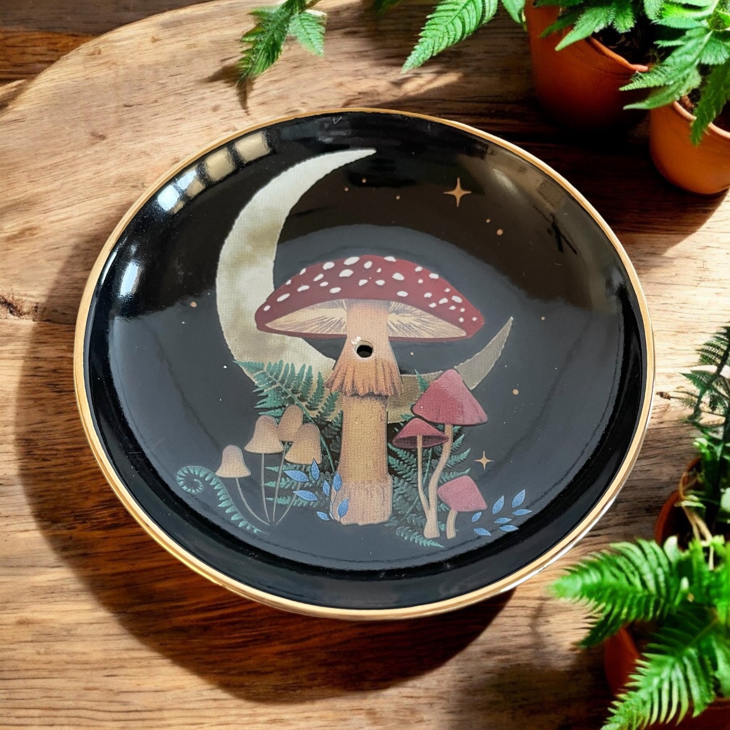 Enchanted Dark Forest ~ New Moon Mushroom Incense Holder