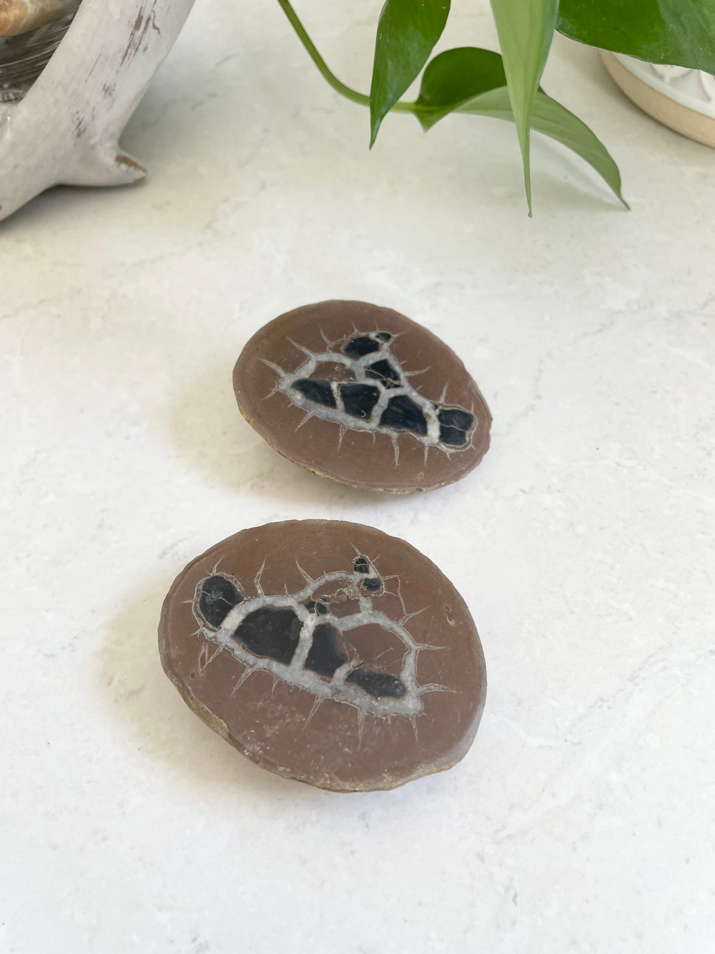 Septarian Twins Pair