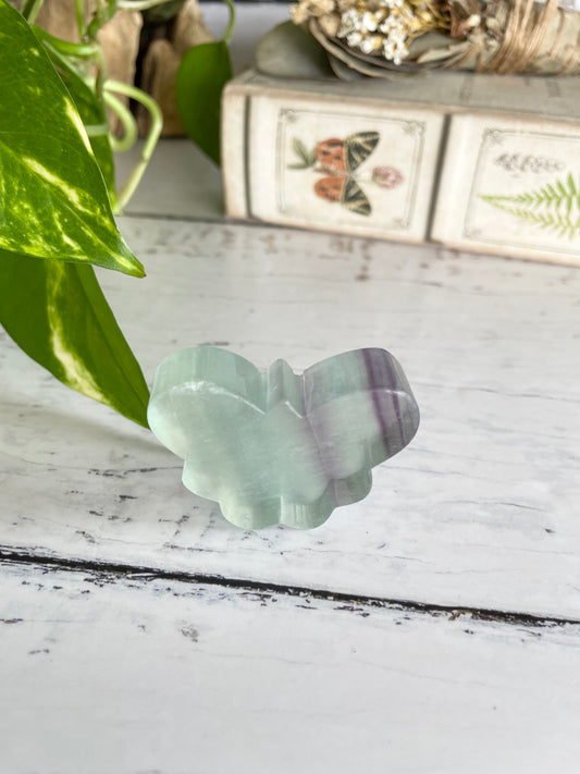 Butterfly ~ Rainbow Fluorite