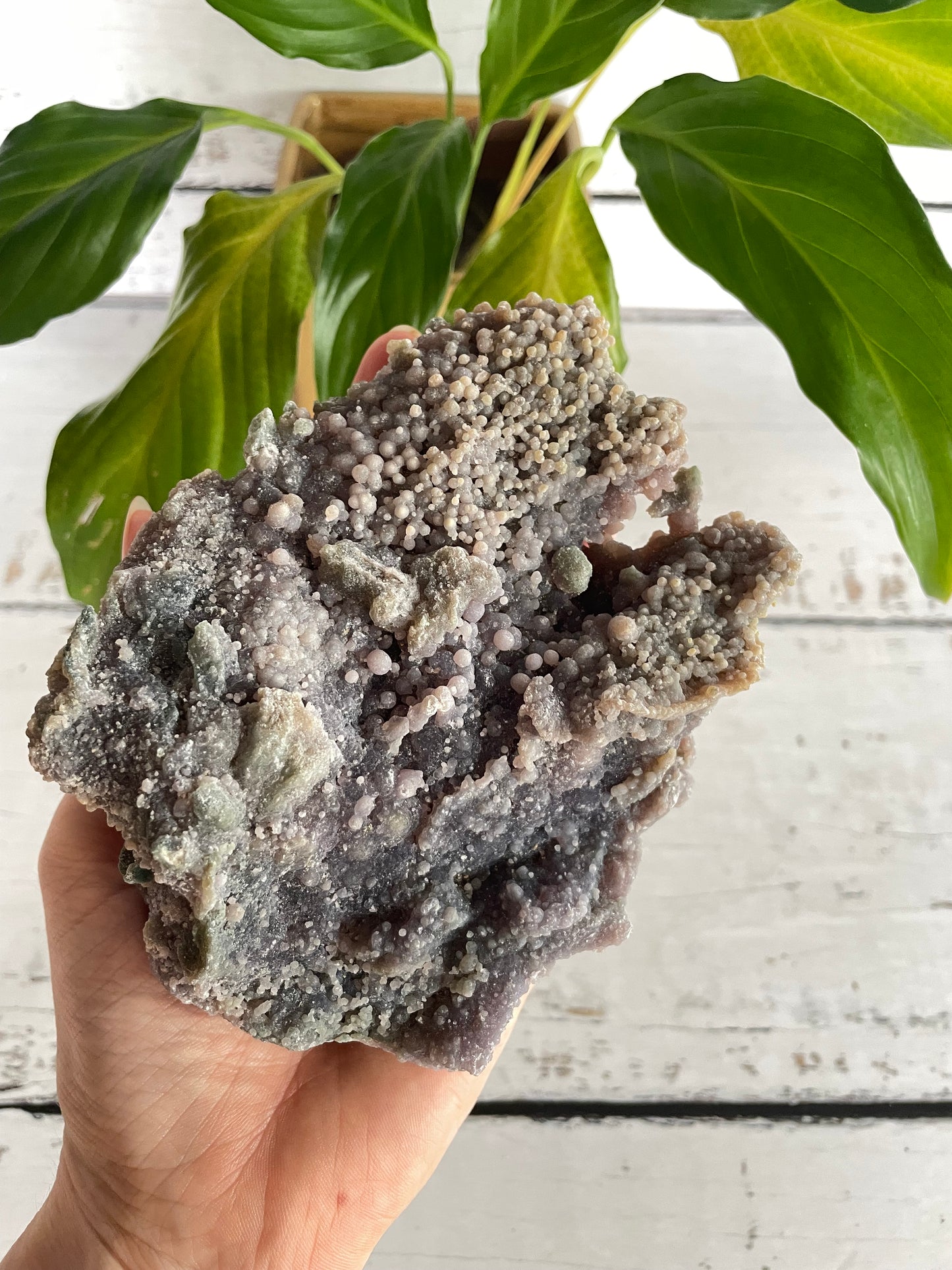 Grape Agate /Botryoidal Purple Chalcedony