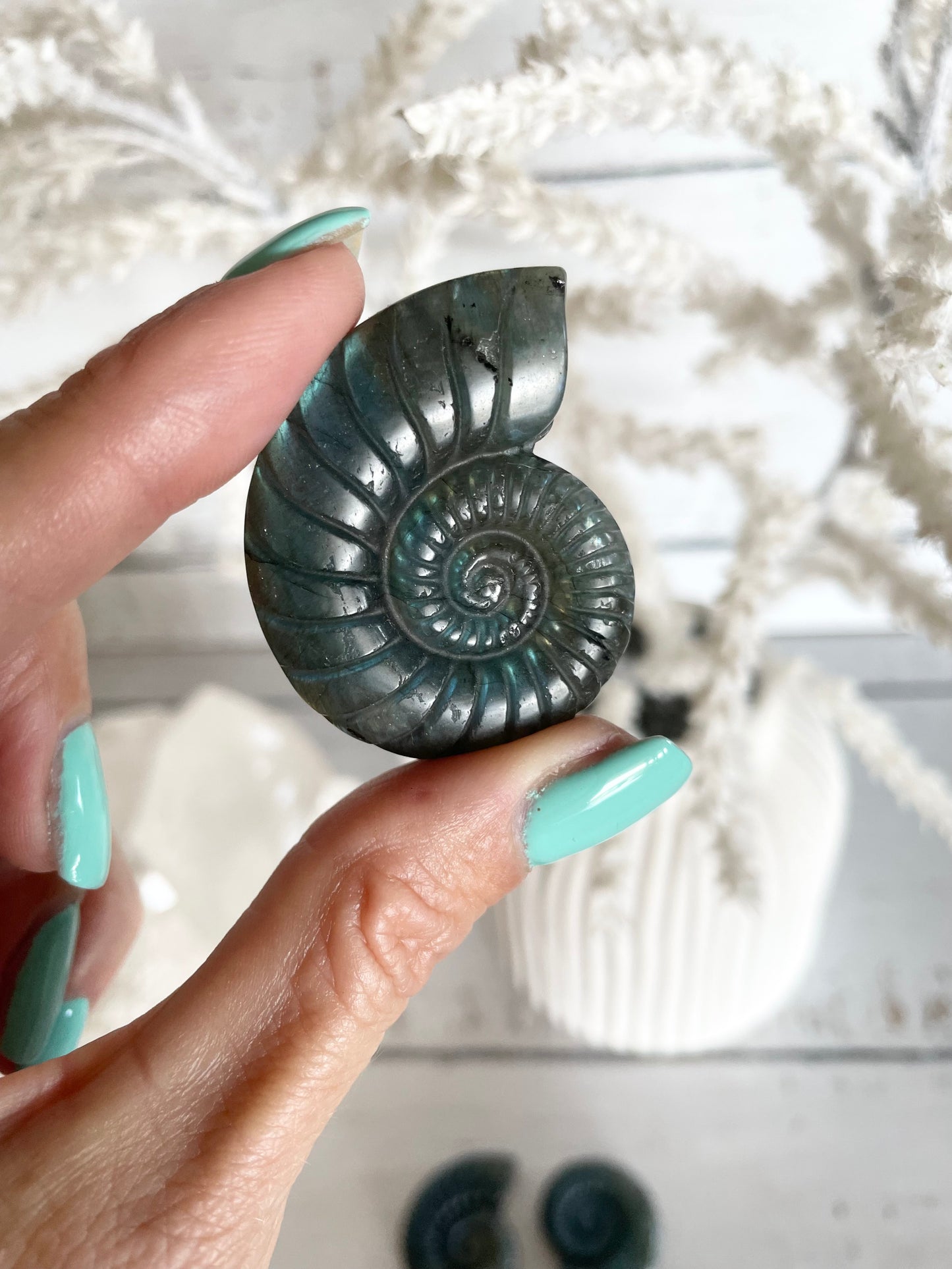 Intuitively Chosen ~ Labradorite Shell