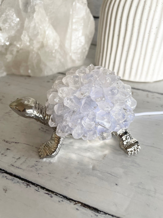 Tortoise Led Lamp ~ Clear Quartz