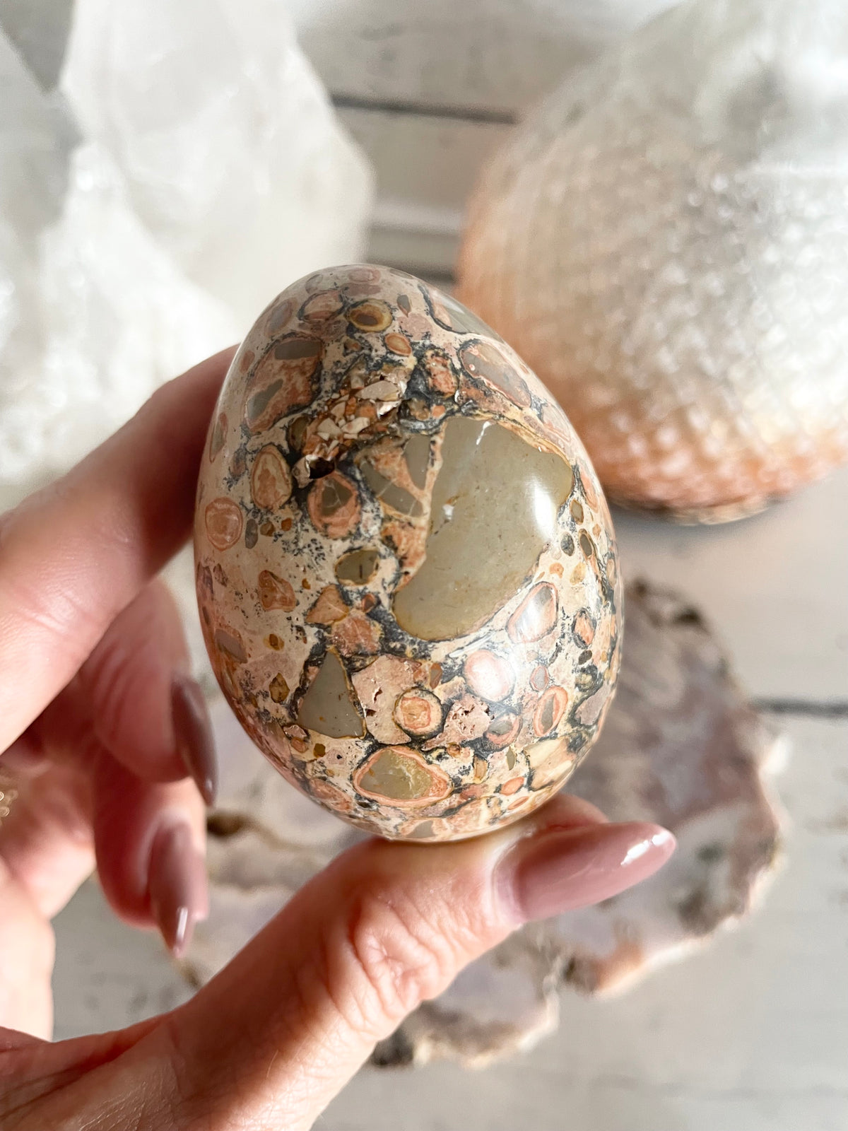 Leopard Skin Jasper Egg includes holder
