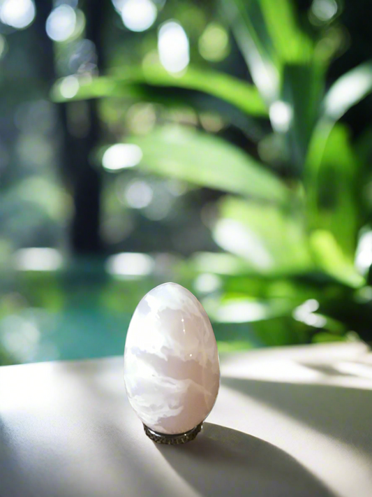 Snow Agate Egg with holder