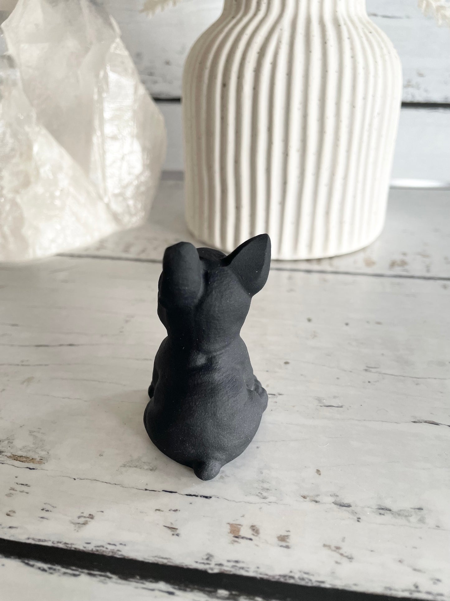 Black Obsidian Dog ~ French Bulldog (cutest frenchie)