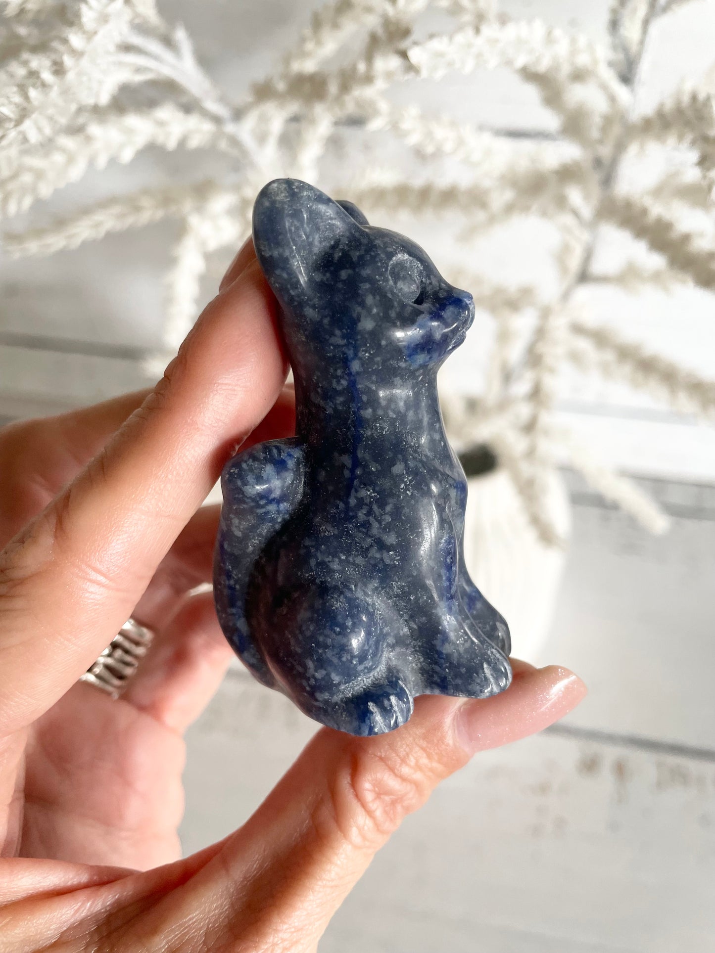 Cat - Blue Quartz