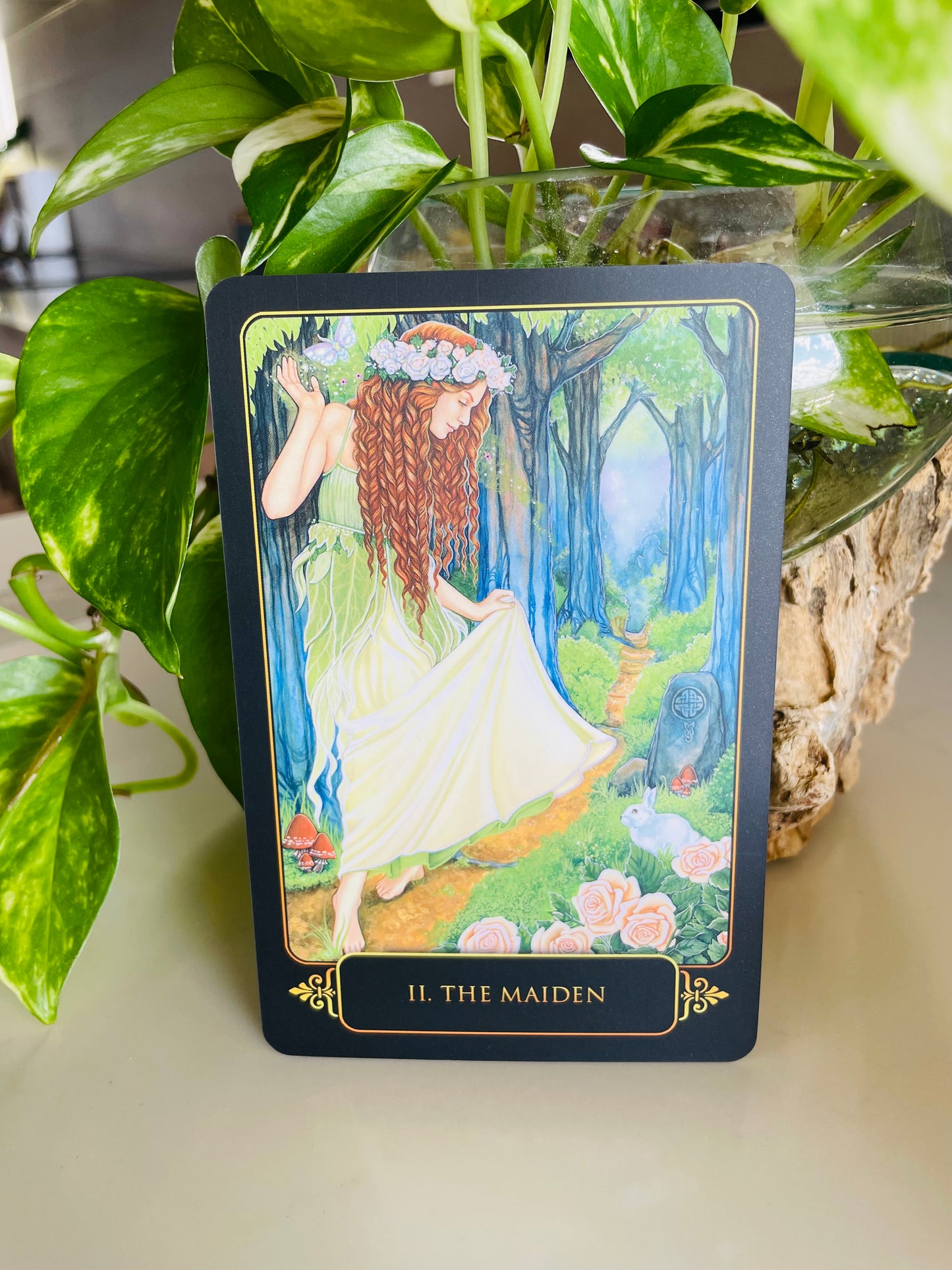 Dreams of Gaia Tarot Deck