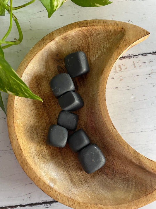 Shungite Raw Tumble Stones