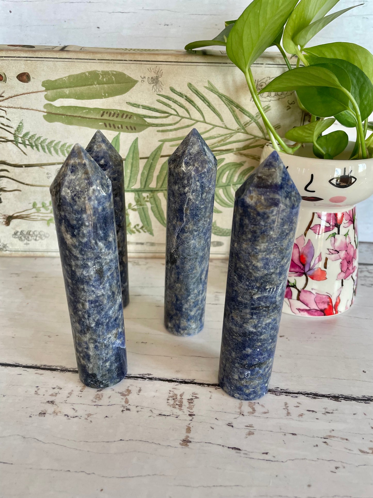 INTUITIVELY CHOSEN ~ Sodalite Tower