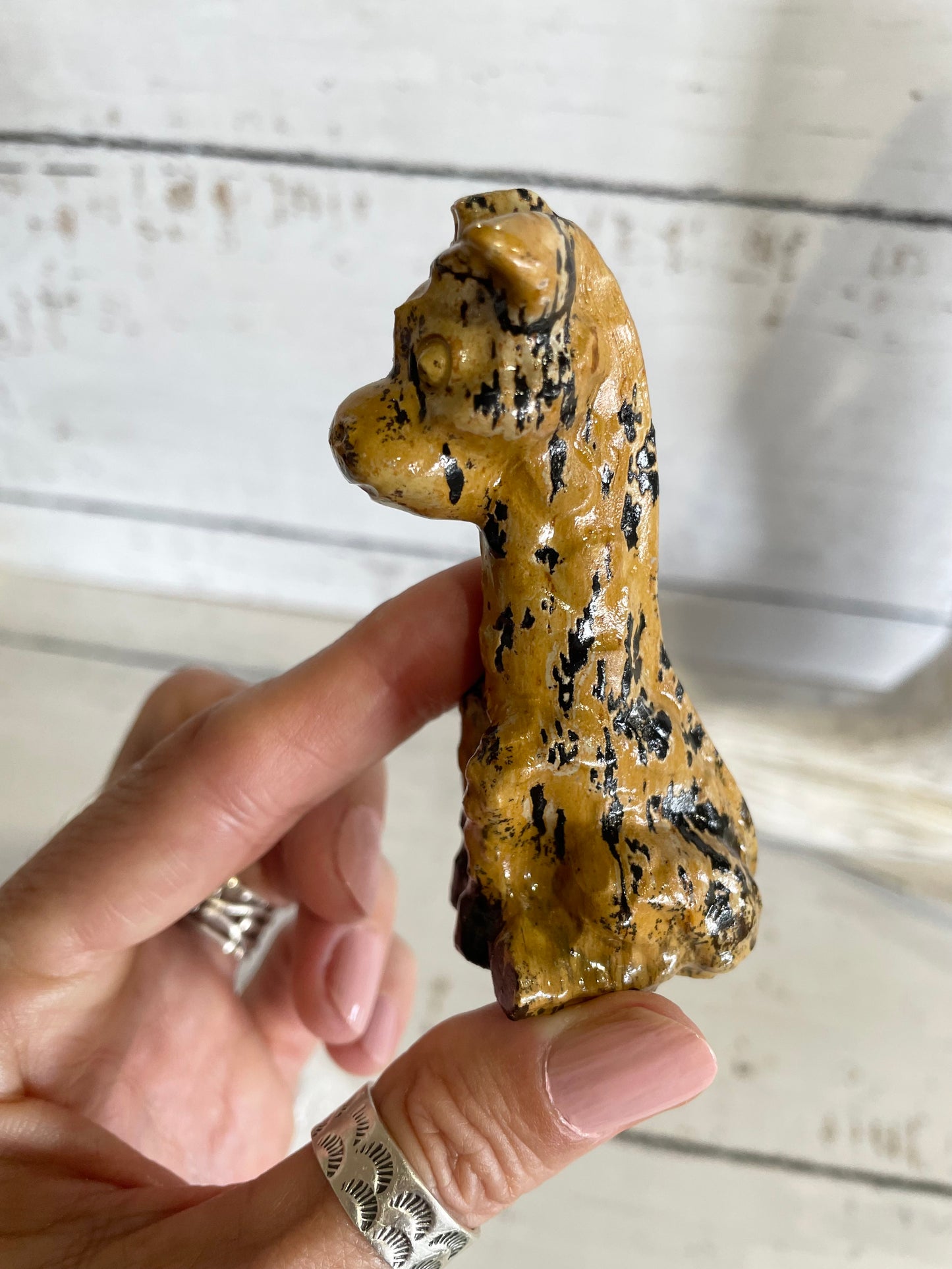 Picture Jasper Giraffe ~ 16