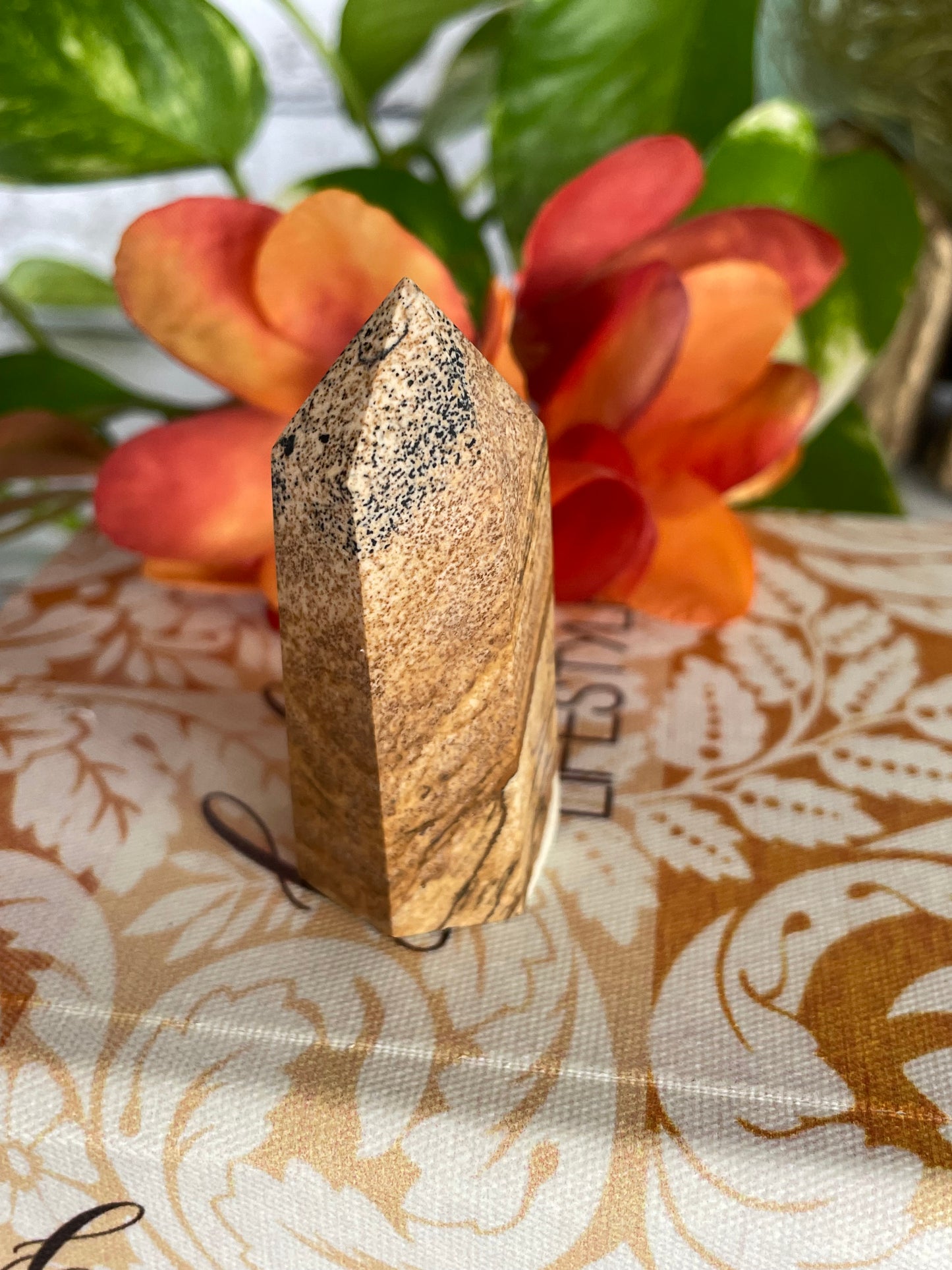 Picture Jasper Generator