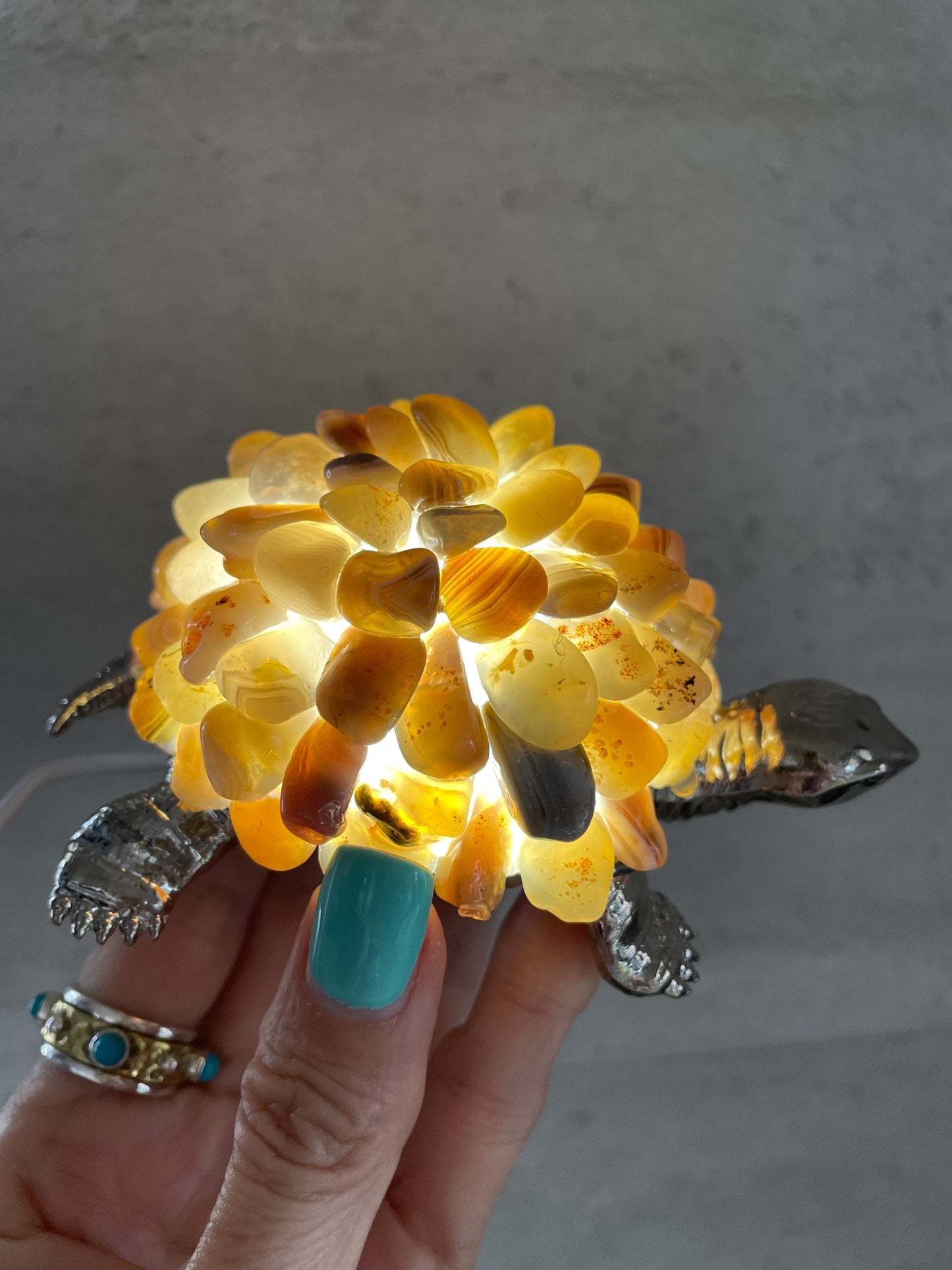 Tortoise Led Lamp ~ Botswana Agate