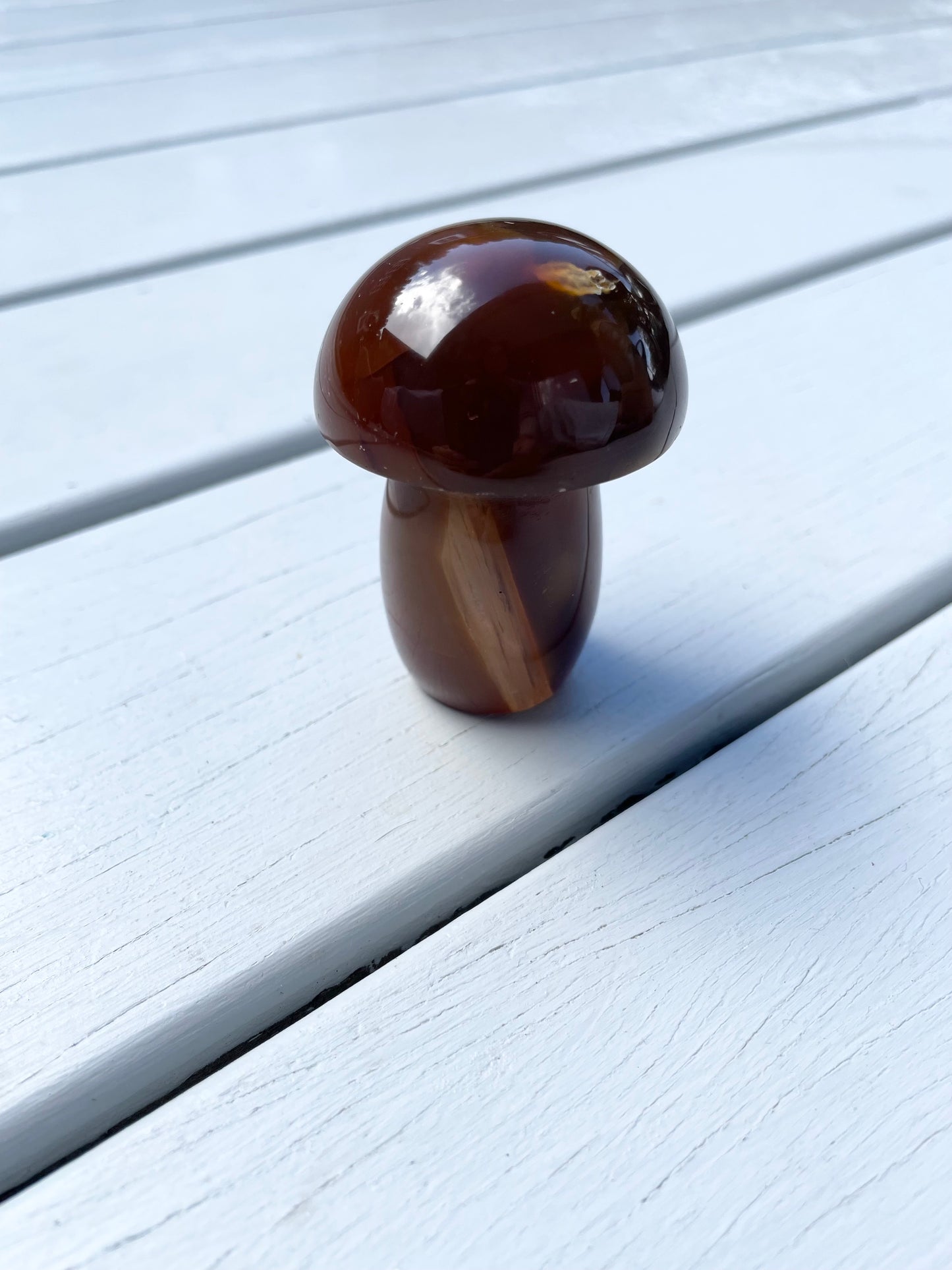 Carnelian Mushroom