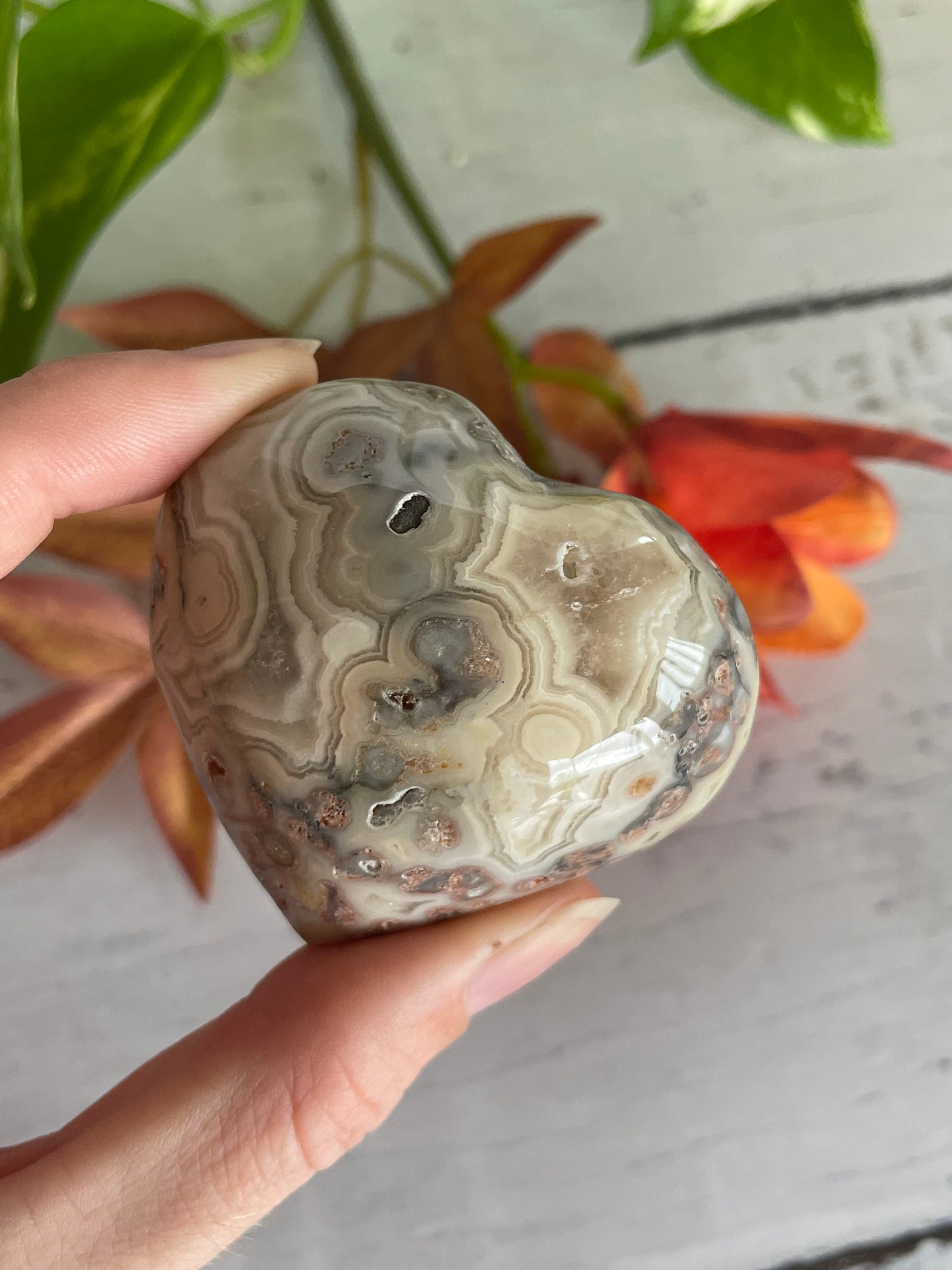 Crazy Lace Agate Heart