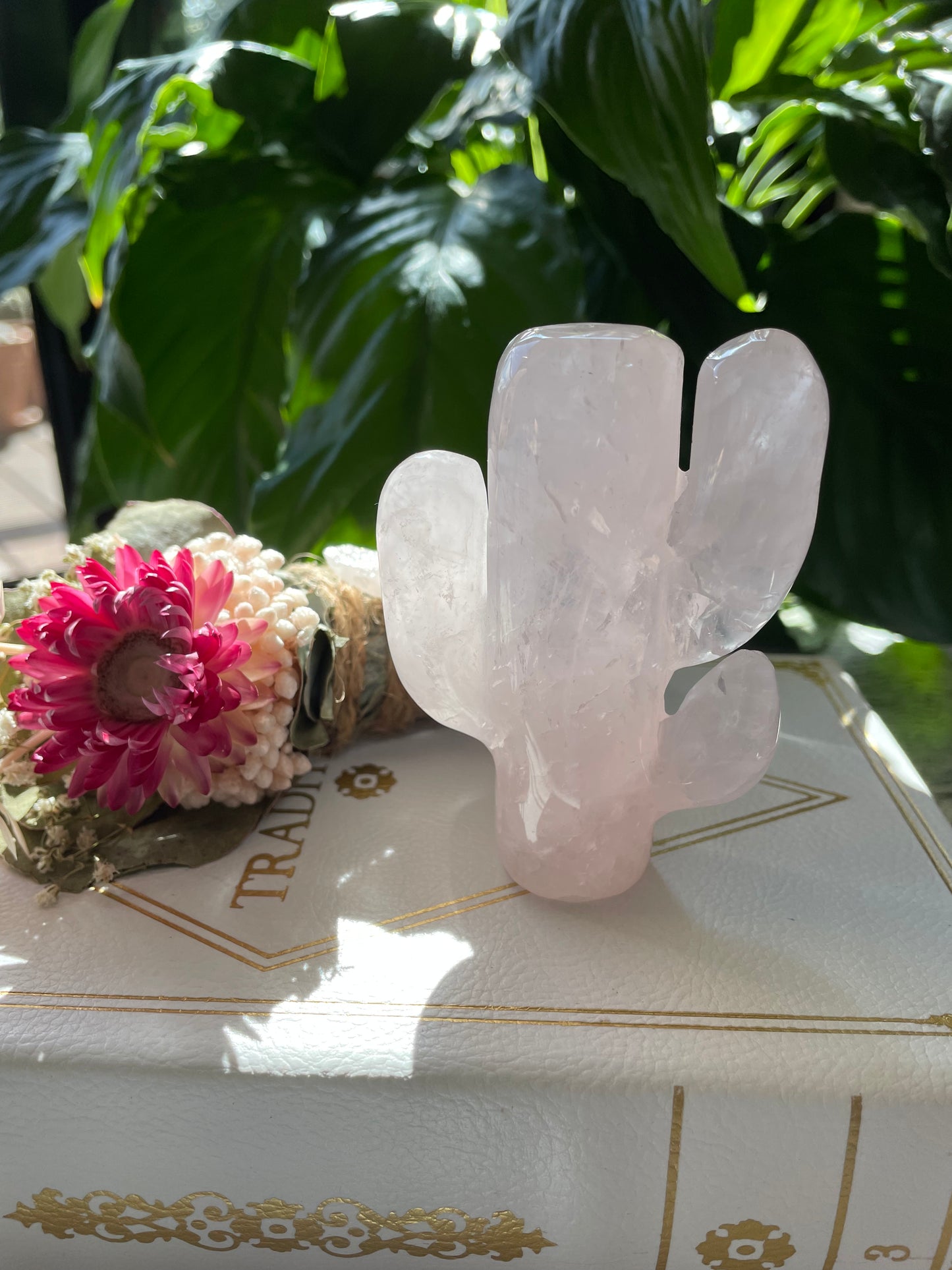 Rose Quartz Cactus