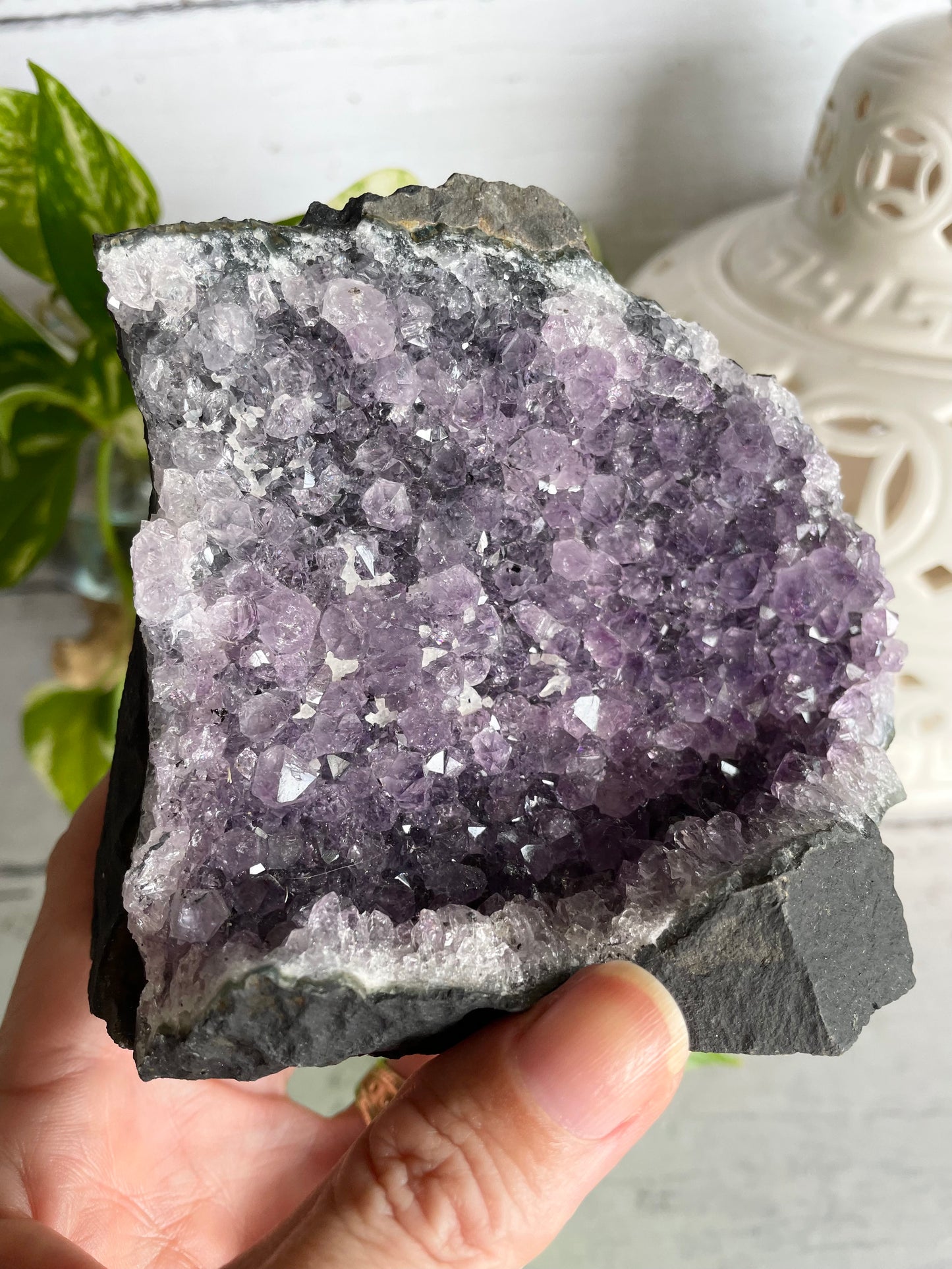 Amethyst Cluster