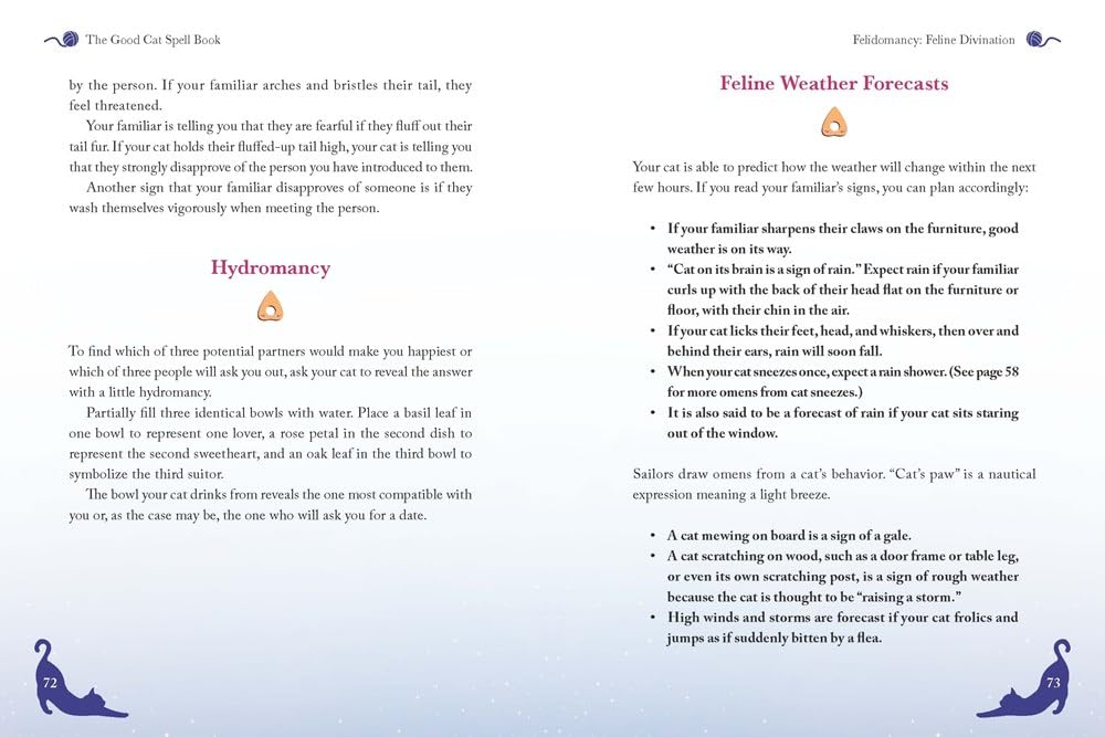 The Good Cat Spell Book
