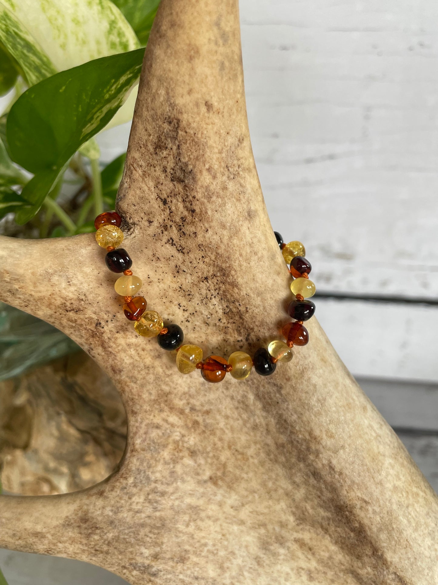 Amber Baby Bracelet ~ Multi Stone