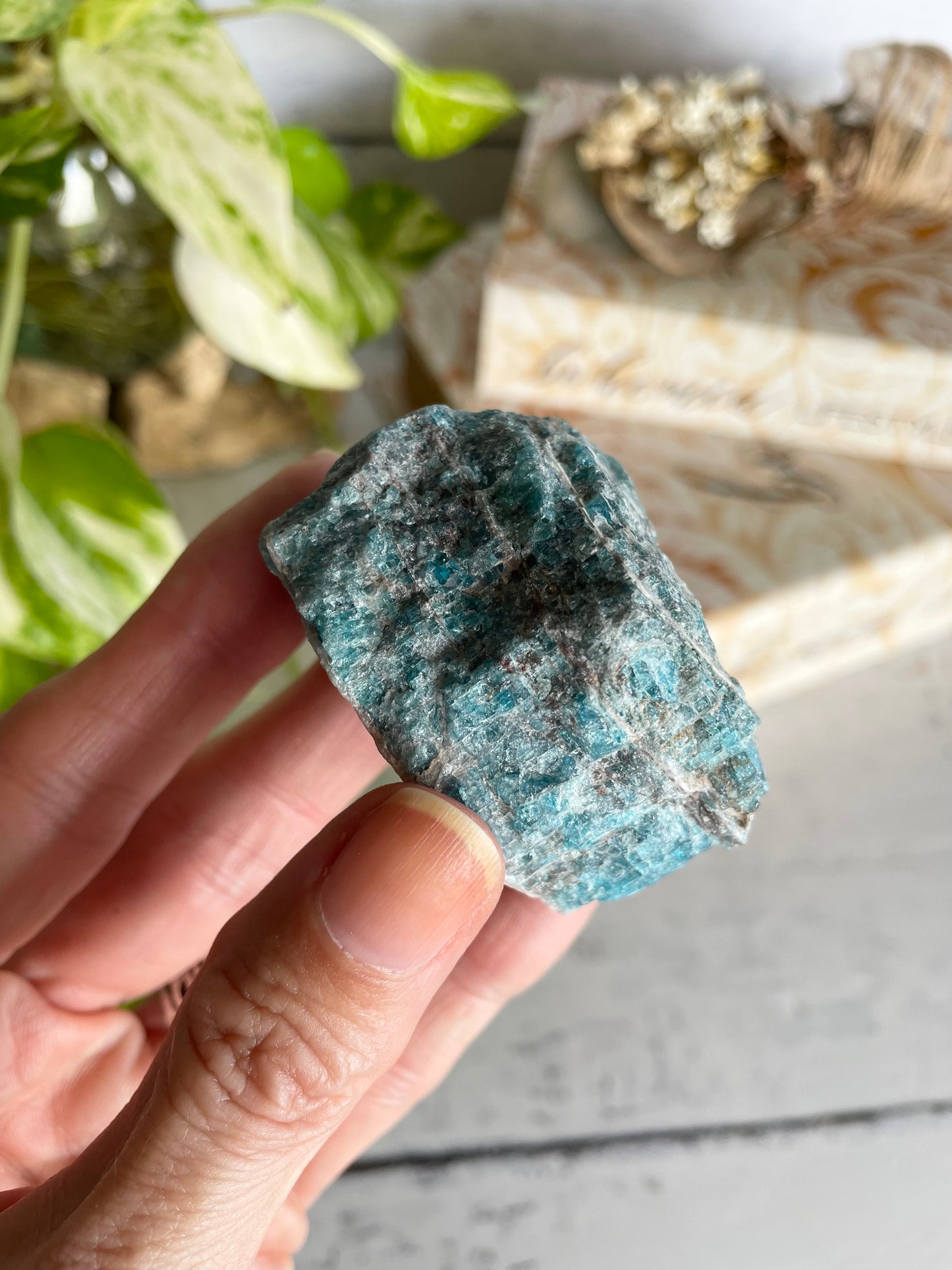 Apatite